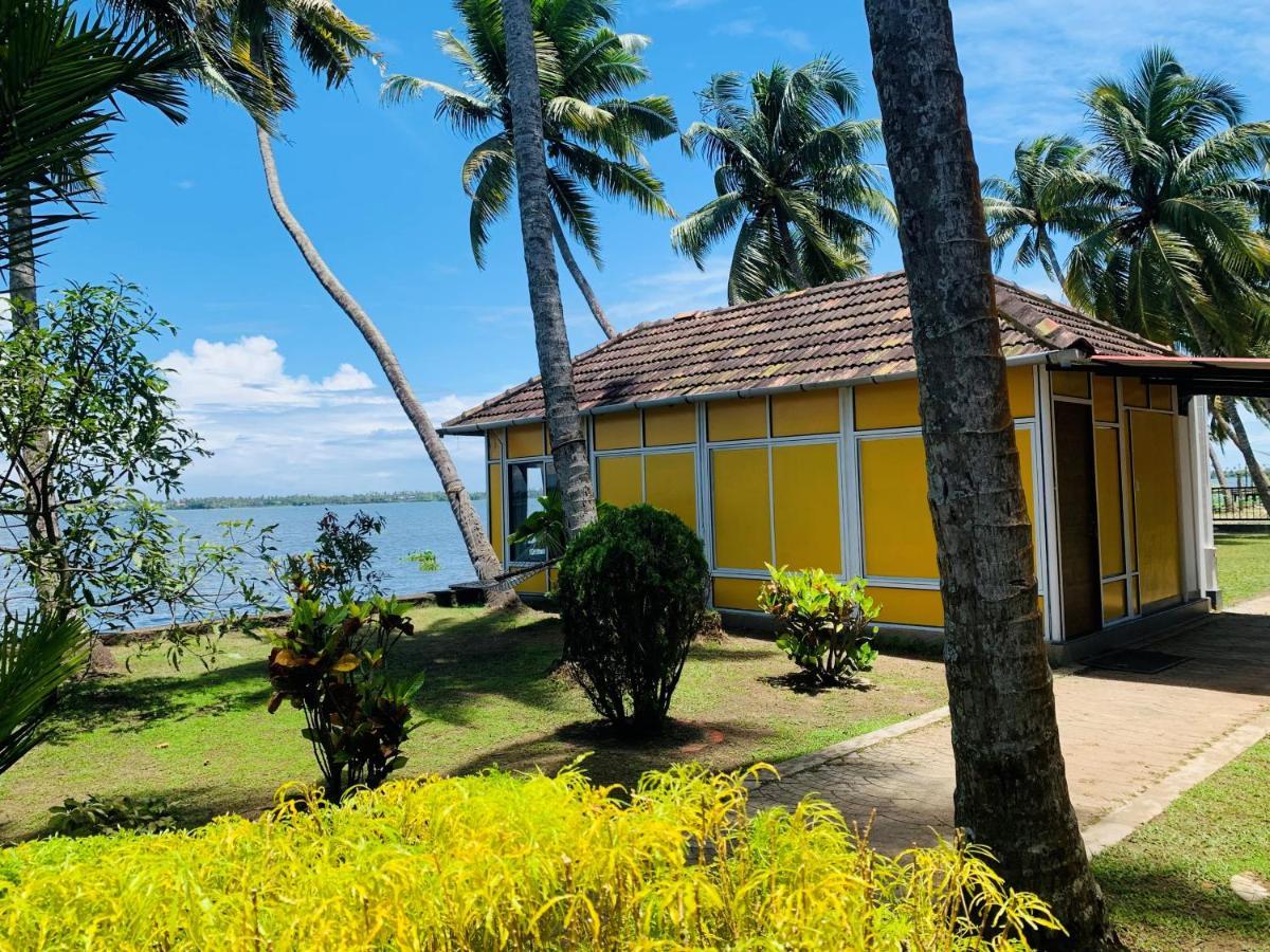Kallanchery Retreat Kochi Zewnętrze zdjęcie