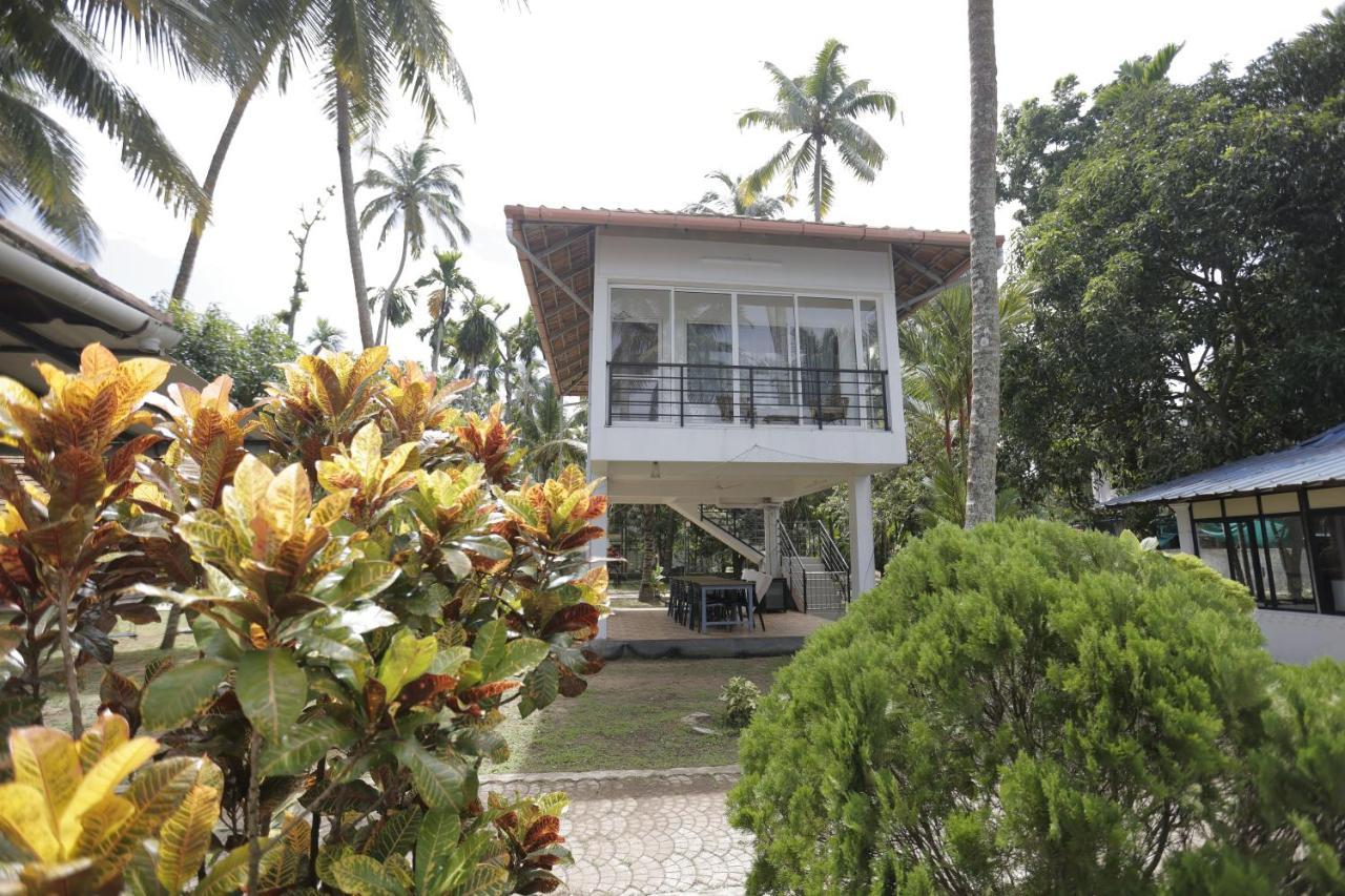 Kallanchery Retreat Kochi Zewnętrze zdjęcie